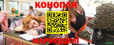 спиды Заводоуковск