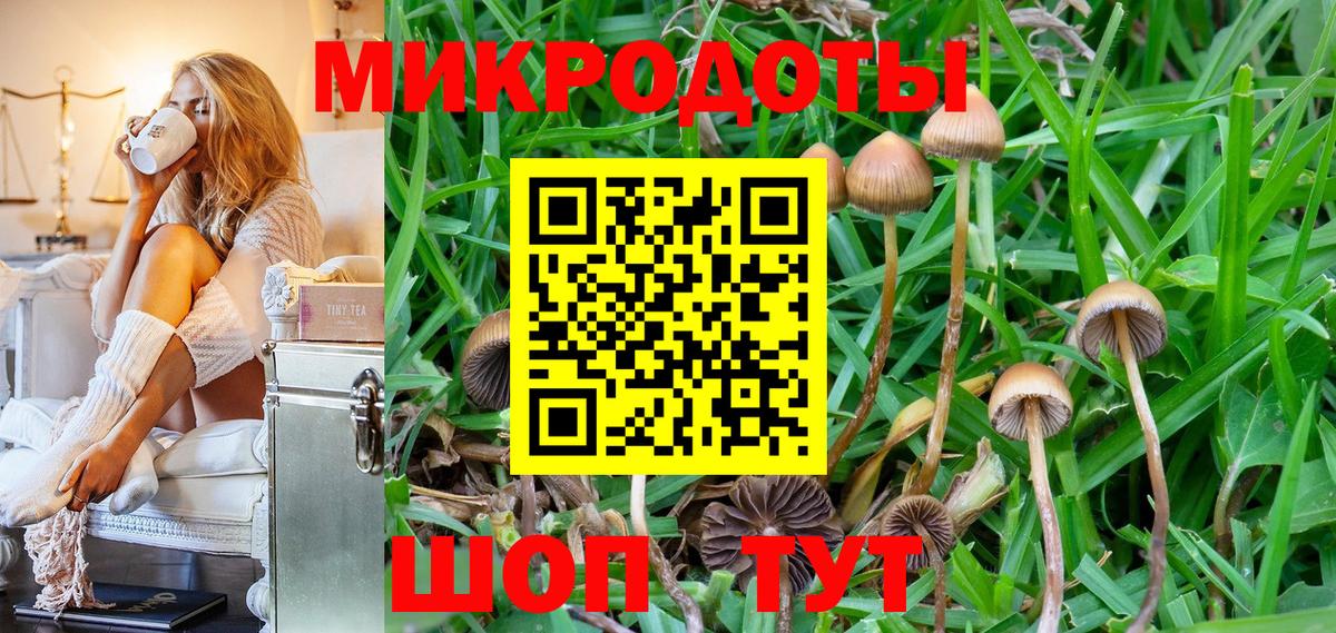 Мариинск  Псилоцибиновые грибы мицелий  Вход с VPN  Галлюциногенные грибы GOLDEN TEACHER 